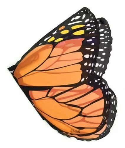 Orange Monarch Butterfly Wings