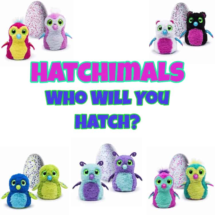 Hatchimals Who Will You Hatch
