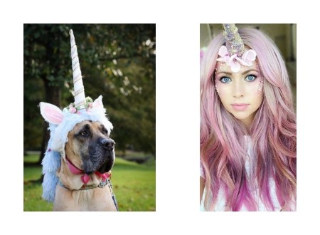 Unicorn matching dog and owner costume