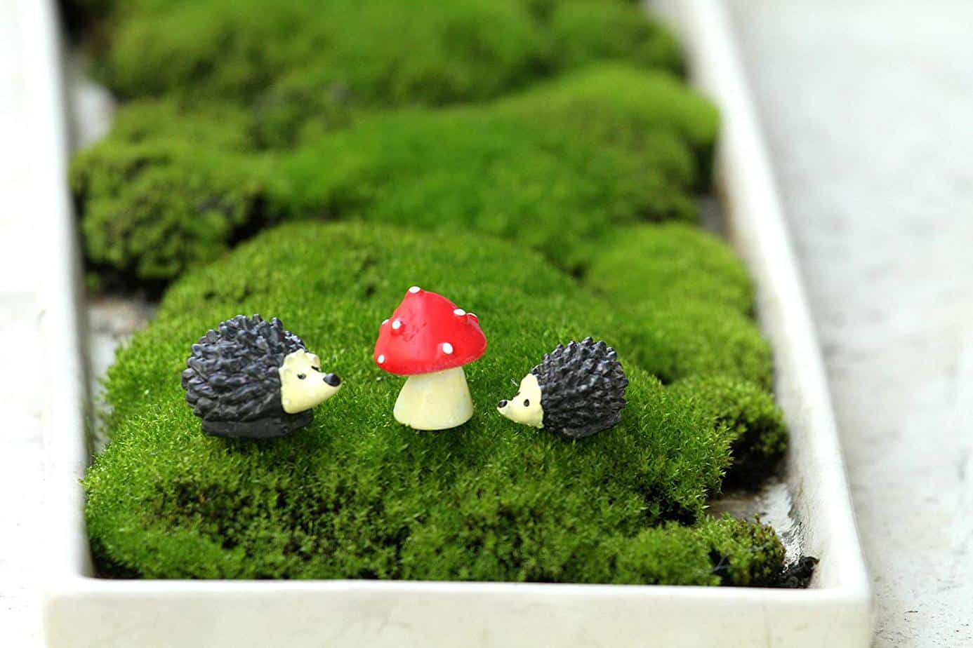fairy garden miniature