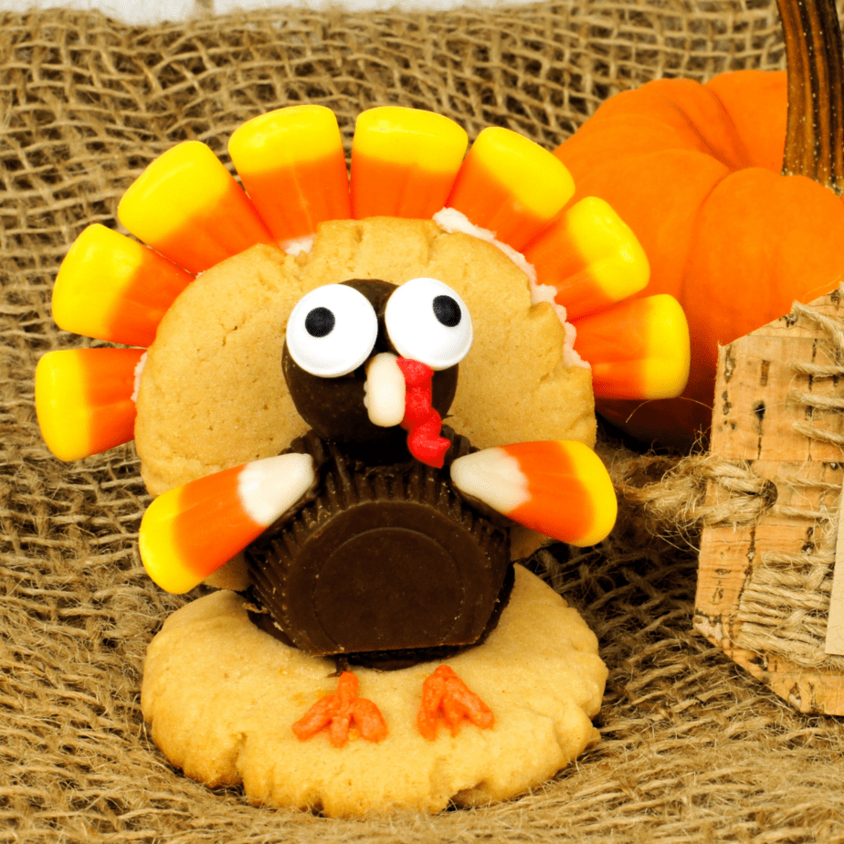 Fun Thanksgiving Turkey Treats & Crafts For Kids To Make