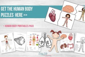 Educational Fun Printables For Kids - Hip Hoo-Rae