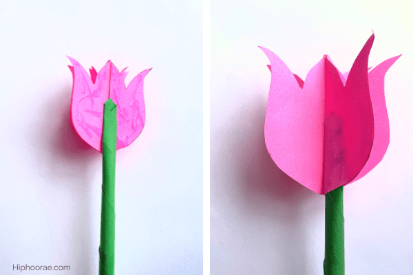 Glue the green paper stem to the pink paper tulip petals
