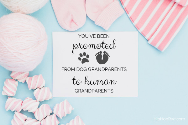 Pregnancy announcement greeting card