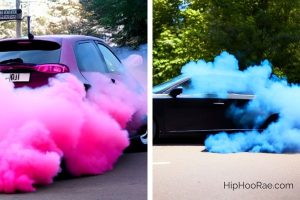 Gender Reveal Tires - Hip Hoo-Rae