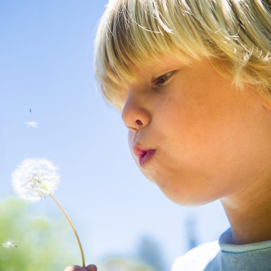 Wishes Come True Quotes