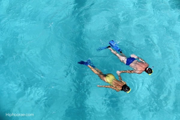 Top view of couple snorkeling