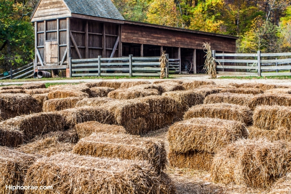 Hay bale maze in a farm