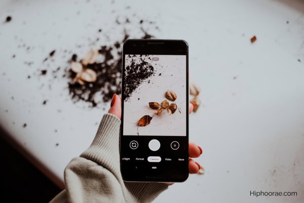 Woman taking a photo of dry leaves using her phone 