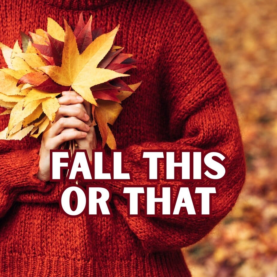 Fall This or That