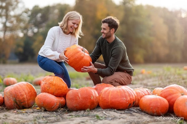 couple in pumpkin patch