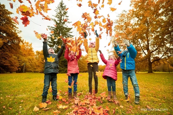 Kids playing with fall leaves in park