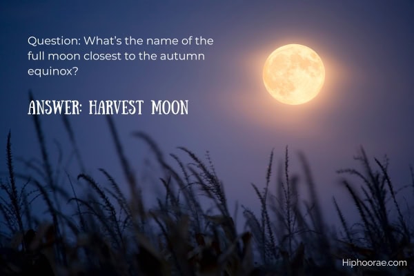 harvest moon with trivia overlay