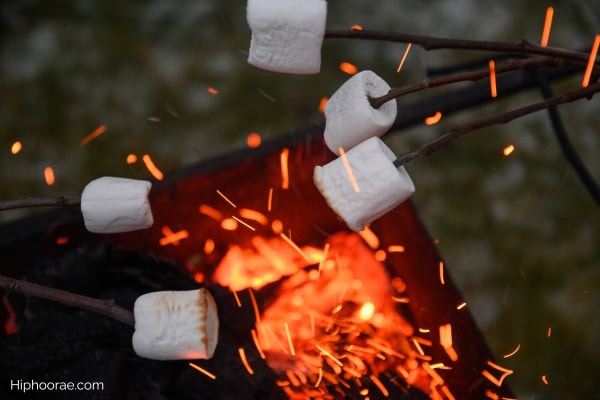 roasting marshmallows over bonfire