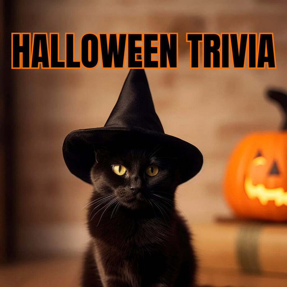 Halloween Trivia