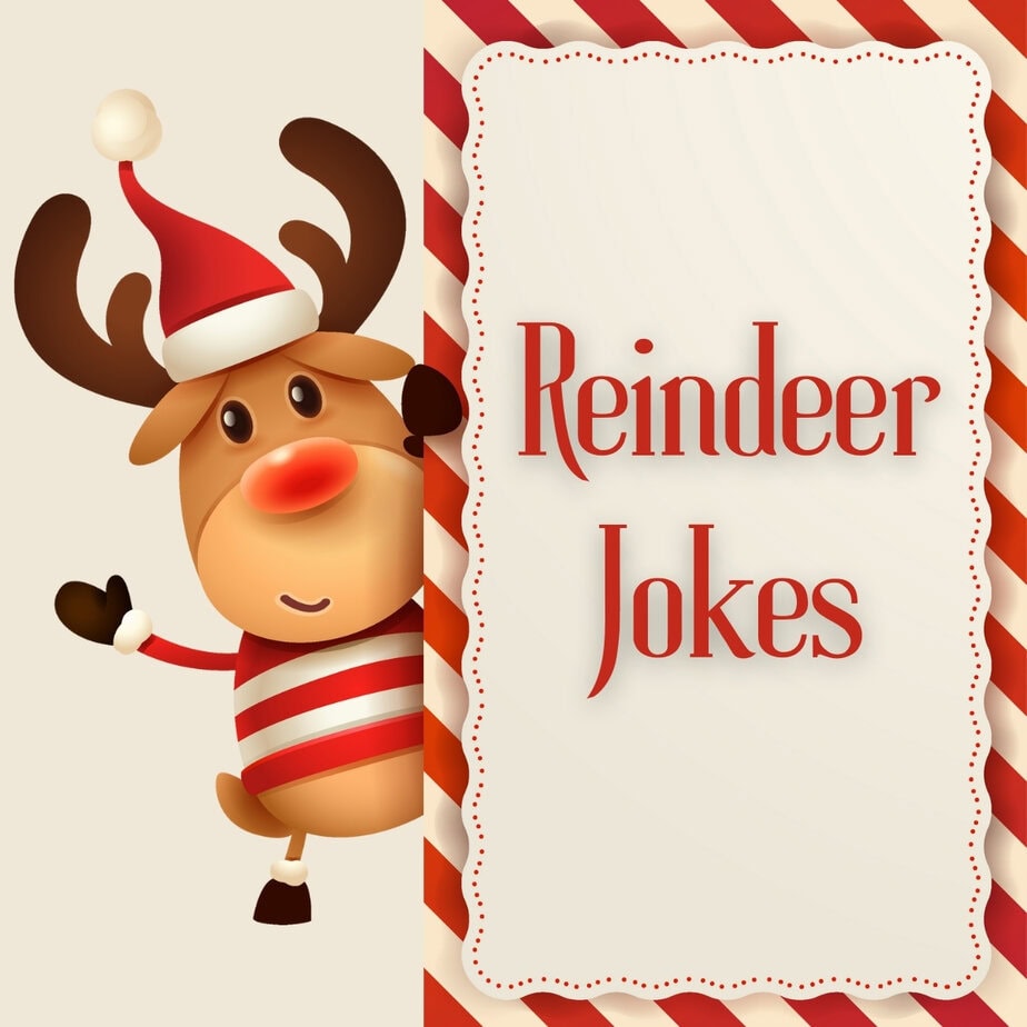 Reindeer Jokes