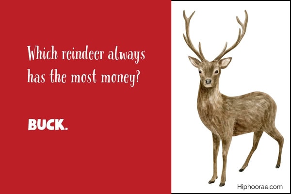 reindeer illustration on the right, joke on the left