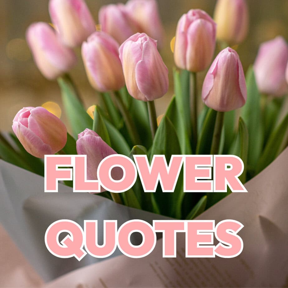 Flower Quotes