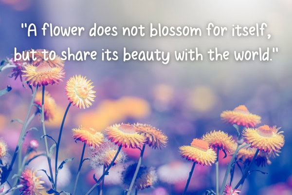 Flower quote