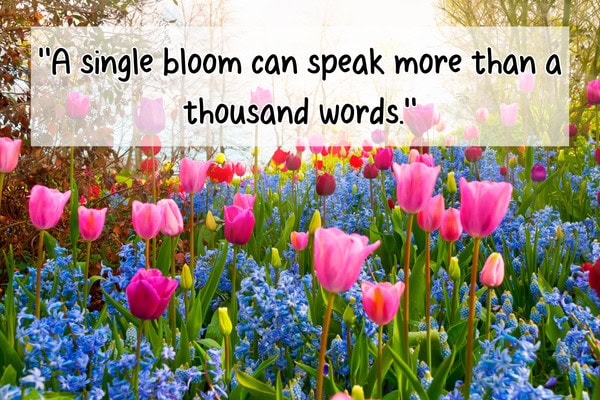 flower quotes