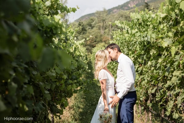 couple kissing in a vineyard
