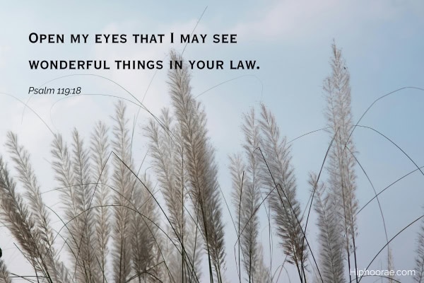 serene reeds against a clear sky with bible quote overlay