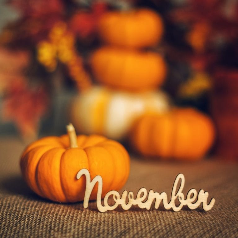 November Party Themes