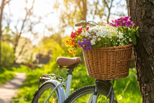 Bicycle with basket full of flowers