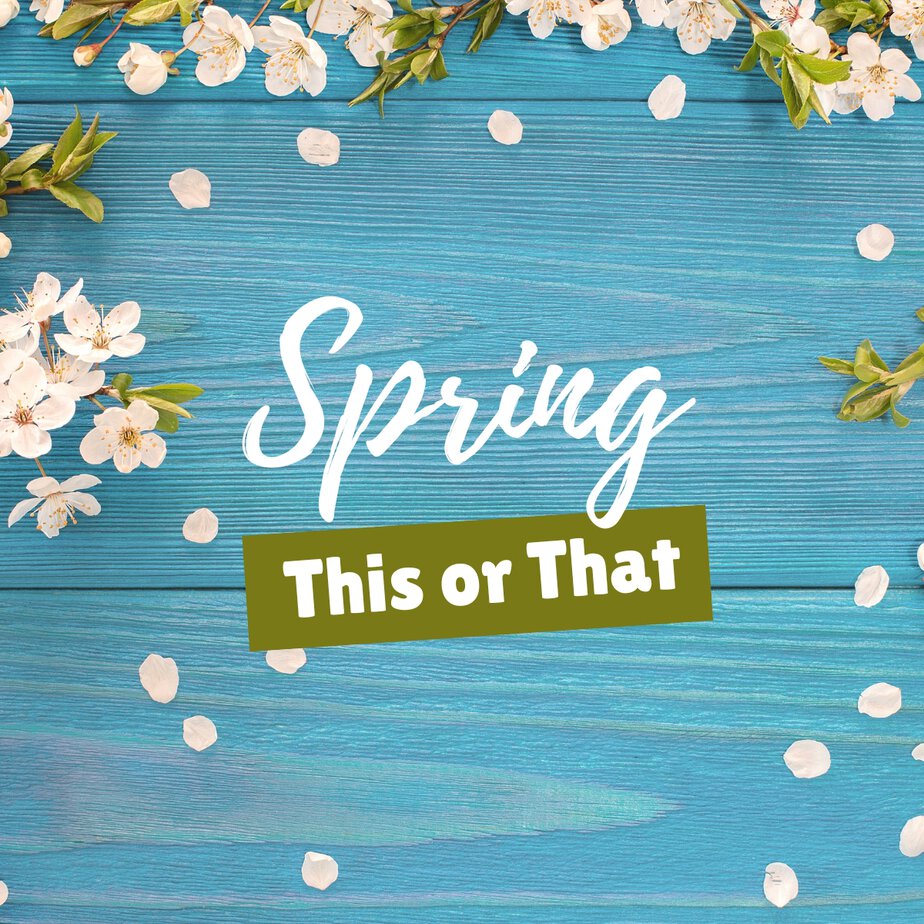 Spring This or That Questions