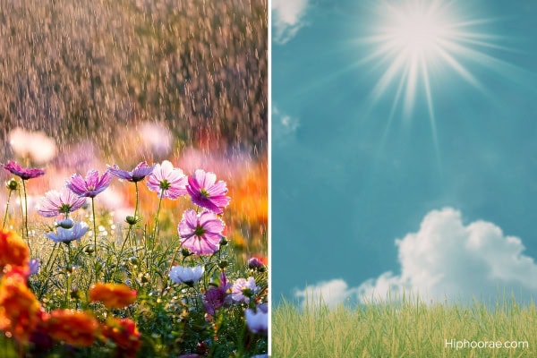 spring rain (left), sunny blue skies (right)