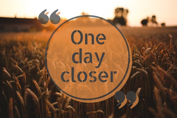 field of green at sunset, with quote overlay