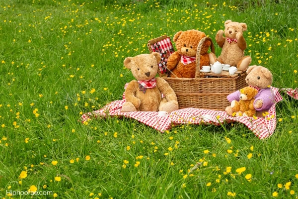 teddy bears and picnic basket on picnic blanket on grass