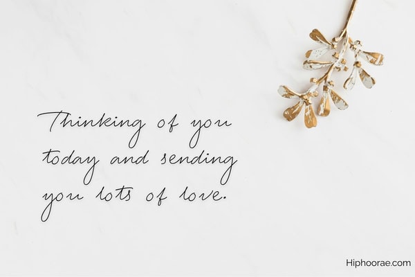 ornamental twig on white background with message overlay