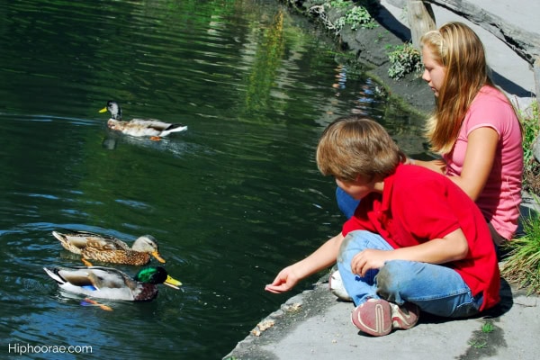 2 kids feeding the ducks